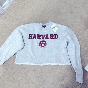 Grey crop crew neck sweatshirt